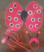 Uğur Böceği Kanat Seti Çocuk Boy