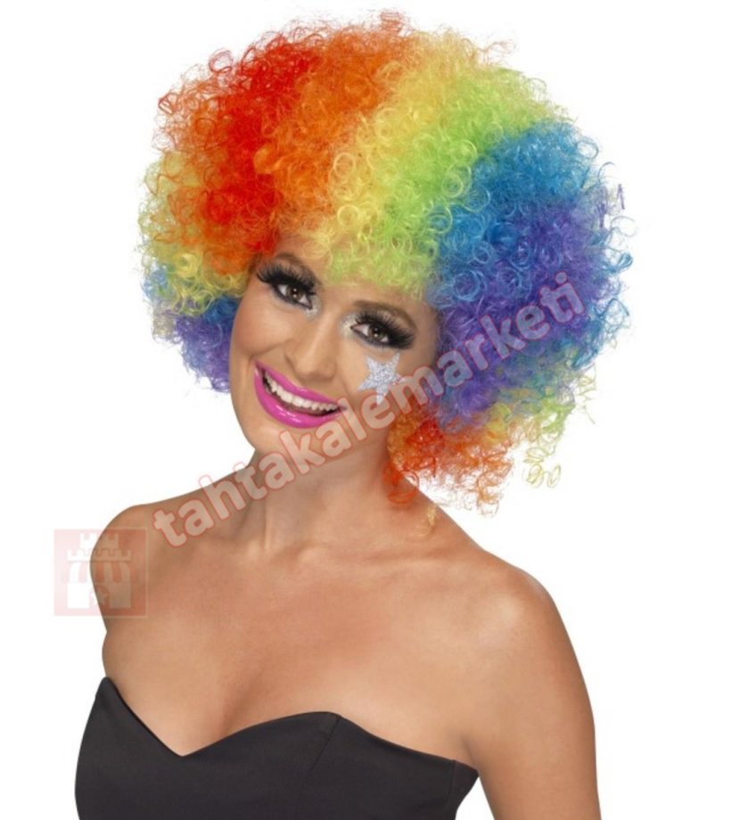 Karışık Renkli Palyaço Peruğu Bonus Peruk
