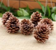 Yılbaşı Çam Kozalak Süsü 6'lı Çam Ağacı Süsü